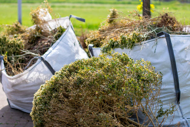 Best Mattress Disposal  in , MN